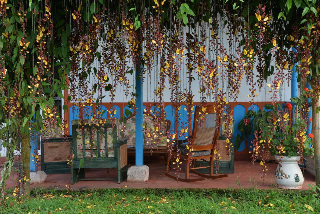 Balsora Hotel Boutique La Tebaida Exterior photo
